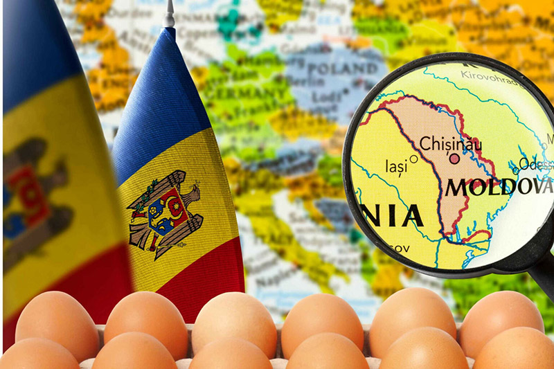 Moldova eggs export