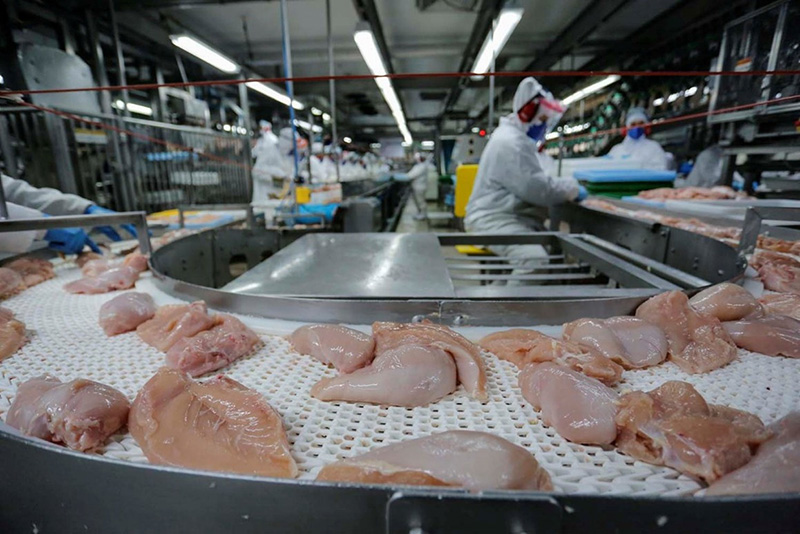 Brazilian poultry back on China