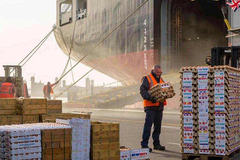 egg imports in UK