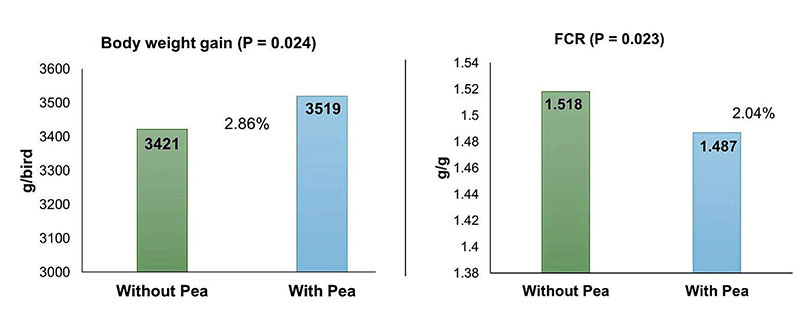 The effect of pea inclusions on BWG and FCR