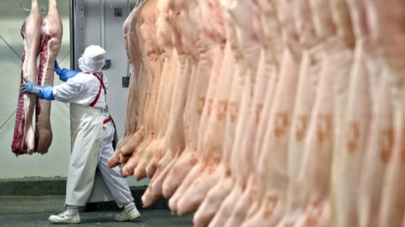 pork market