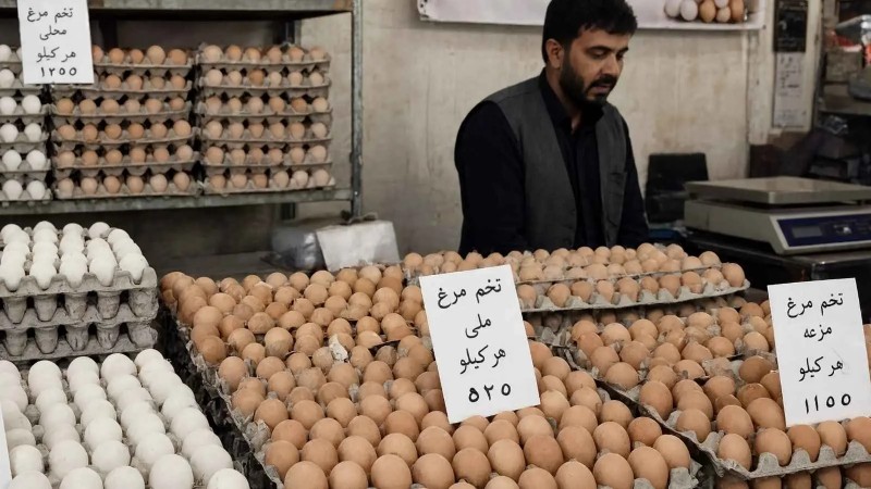 Afghanistan poultry